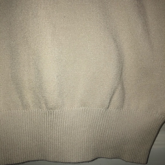 NWOT Zara Cream Turtle Neck Mesh Long Sleeves - Picture 3 of 6
